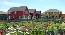 High Point Rental Housing with Organic Community Garden